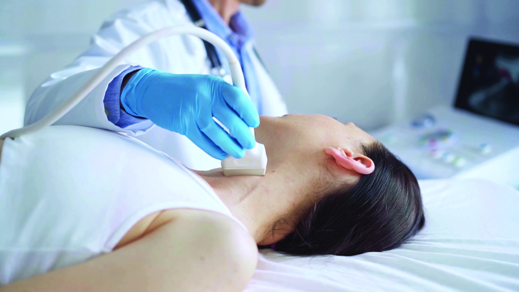 shutterstock_2499658621_L (1).jpg